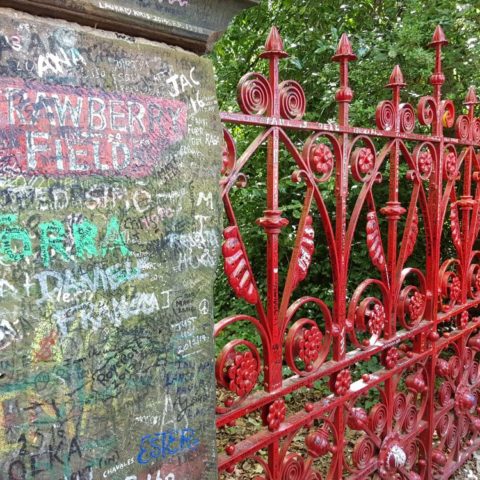 Strawberry Fields, fot. Beata Pawlikowska