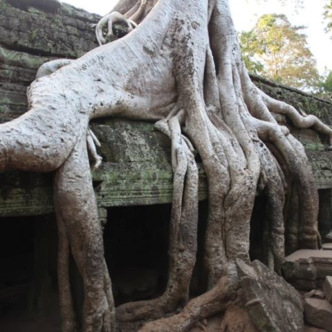 W Angkor, fot. Beata Pawlikowska