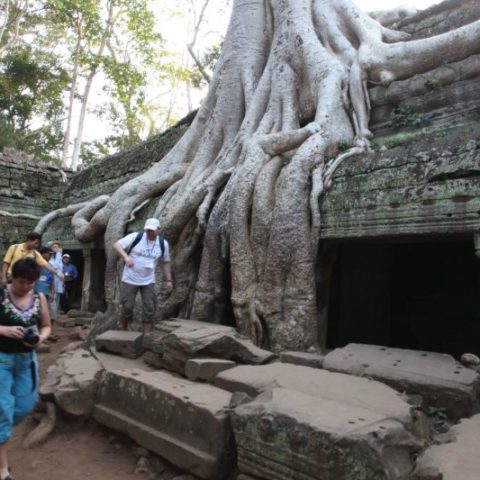 W Angkor, fot. Beata Pawlikowska