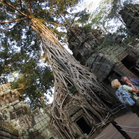 W Angkor, fot. Beata Pawlikoswska