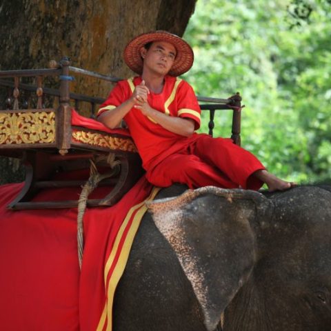 W Angkor, fot. Beata Pawlikowska