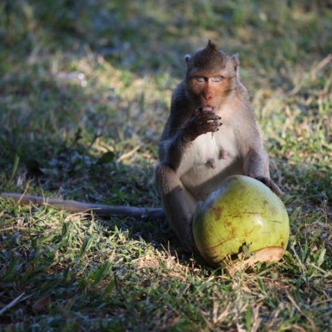 fot. Beata Pawlikowska