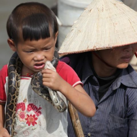 Na jeziorze  Tonle Sap, fot. Beata Pawlikowska
