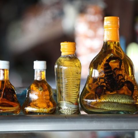 Alkohol z wężem, fot. Beata Pawlikowska