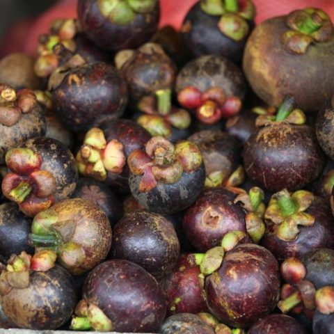 mangostany, fot. Beata Pawlikowska