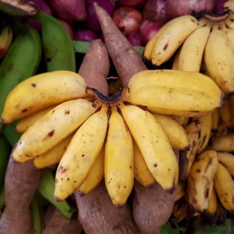 Banany owocowe, fot. Beata Pawlikowska