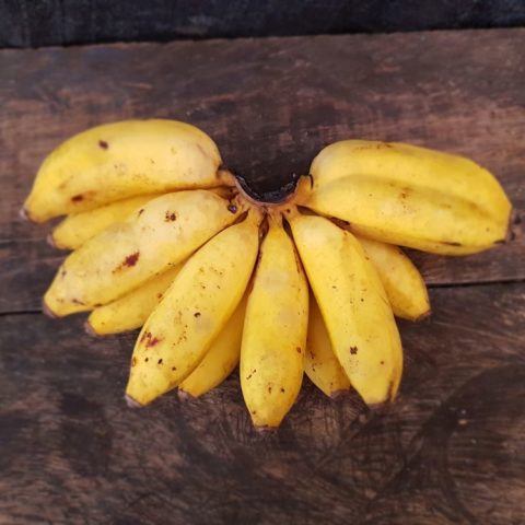 Banany owocowe, fot. Beata Pawlikowska