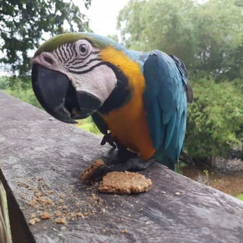 fot. Beata Pawlikowska