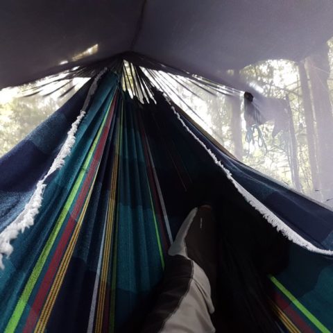 Poranek w dżungli, fot. Beata Pawlikowska