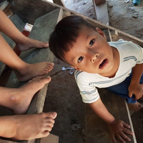 fot. Beata Pawlikowska