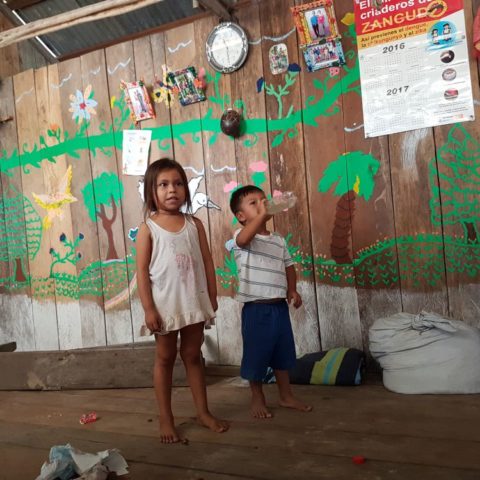 fot. Beata Pawlikowska