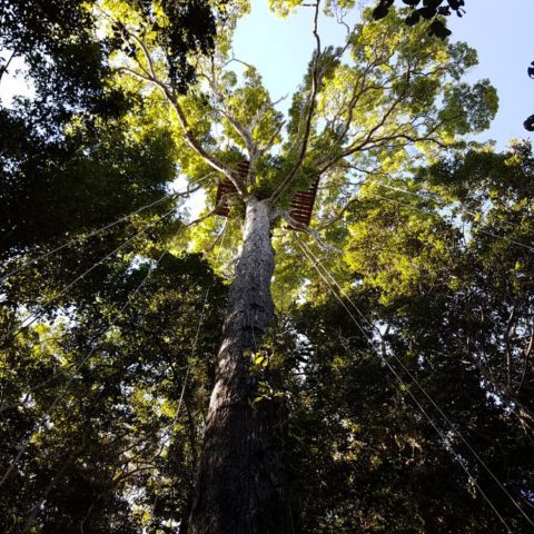 W dżungli, fot. Beata Pawlikowska