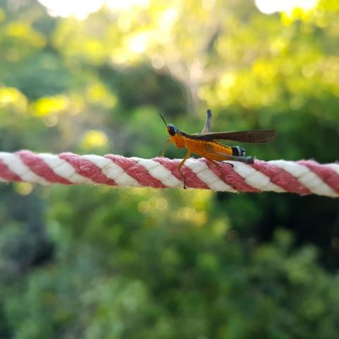 fot. Beata Pawlikowska