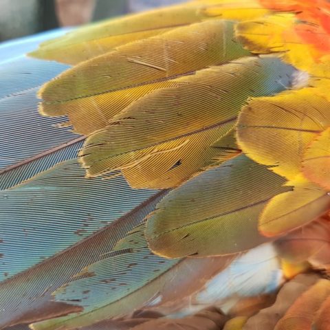 fot. Beata Pawlikowska