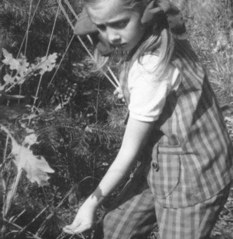 W lesie, fot. Adam Pawlikowski