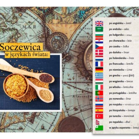 Fragment książki "Soczewica - ponad sto autorskich przepisów", http://www.empik.com/soczewica-pawlikowska-beata,p1186418227,ksiazka-p