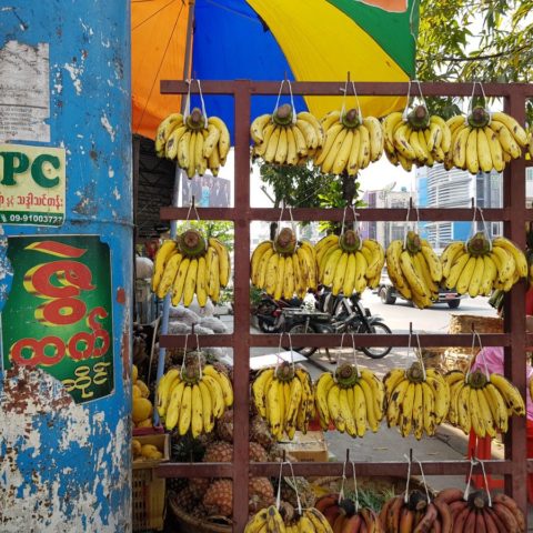 Mmm, pyszne banany,  fot. Beata Pawlikowska