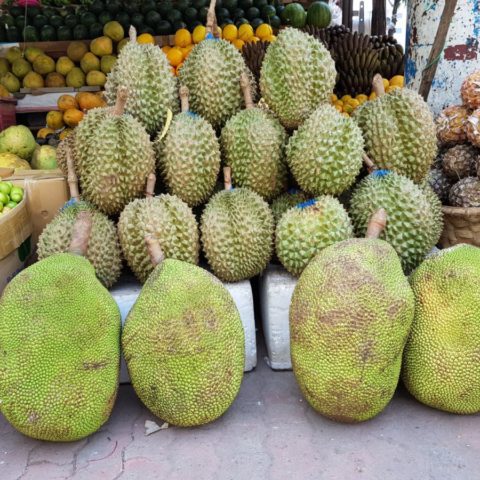 Duriany i (poniżej) owoce drzewa bochenkowego (jackfruit) sprzedawane na ulicy w Birmie
