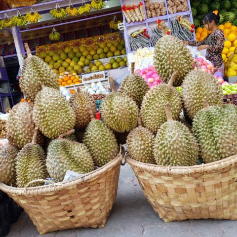 Duriany, najbardziej cuchnące owoce świata. Ich zapach przypomina woń zjełczałego sera, starych jajek i zepsutego mięsa