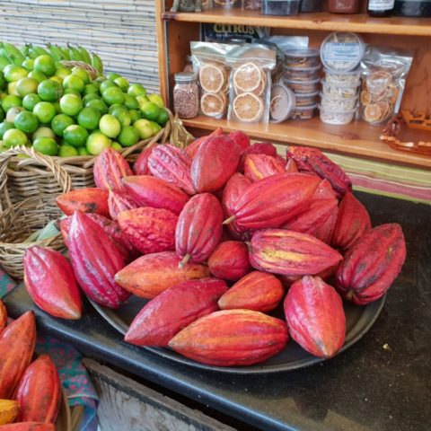 Owoce kakaowca, Hawaje