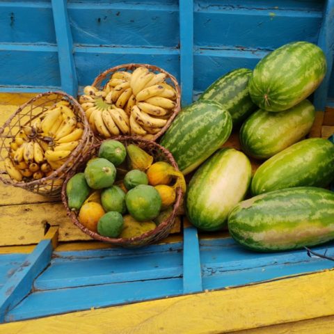 Zapas owoców przygotowany na czas wyprawy do dżungli – banany, papaje i arbuzy