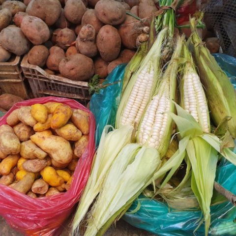 Andyjska kukurydza i ziemniaki – podstawa inkaskiej kuchni. Fot. Beata Pawlikowska