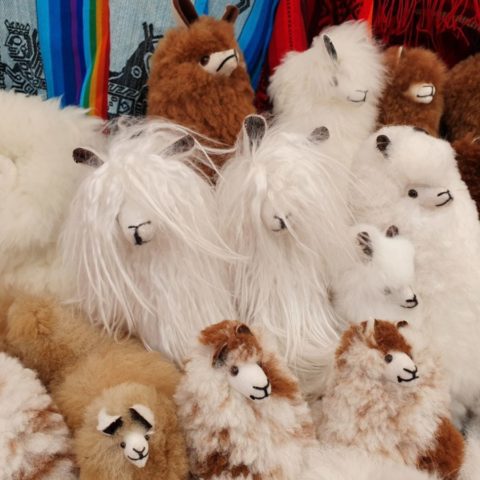 Pluszowe lamy na stoisku z pamiątkami dla turystów. Fot. Beata Pawlikowska 