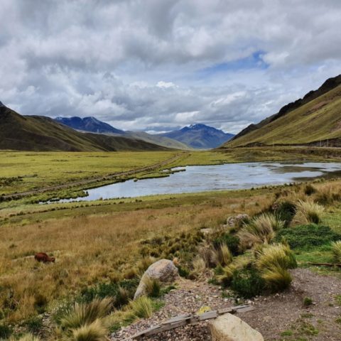 Pejzaż andyjskiego płaskowyżu w Peru. Fot. Beata Pawlikowska