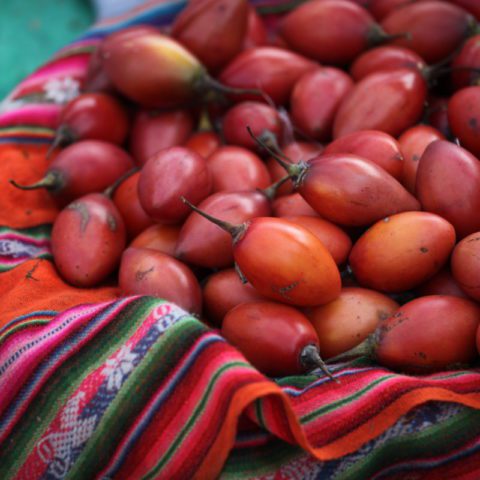 Tomate de arbol, tamarillo na targowisku w Peru.