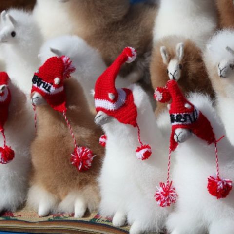 Pluszowe lamy. Fot. Beata Pawlikowska