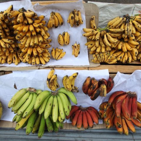 Różne odmiany bananów na targowisku w Wietnamie