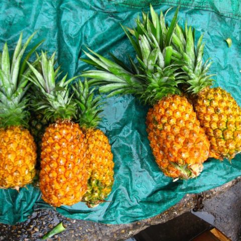 Dojrzałe ananasy na chodniku w Manaus, Brazylia