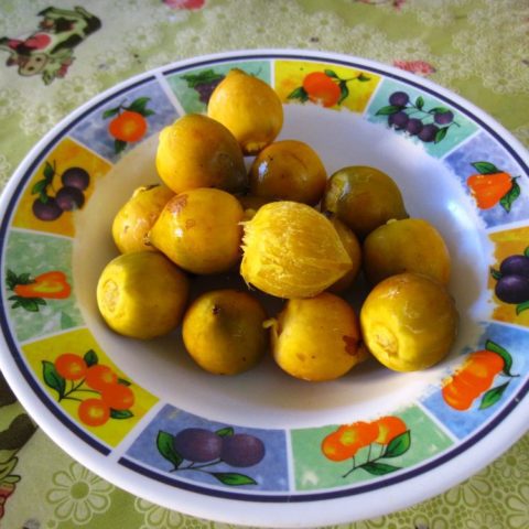 Pupuña, owoc palmowy, niejadalny na surowo, po ugotowaniu w smaku przypomina ziemniaki, Wenezuela.