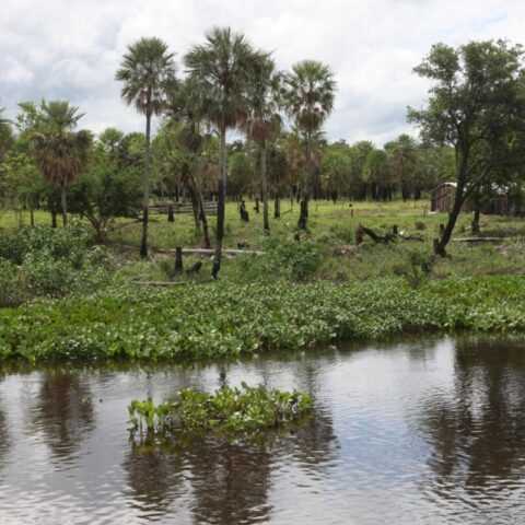 Podczas podróży łodzią po rzece Paragwaj.