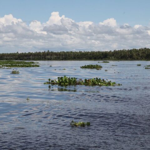 Podczas podróży łodzią po rzece Paragwaj.