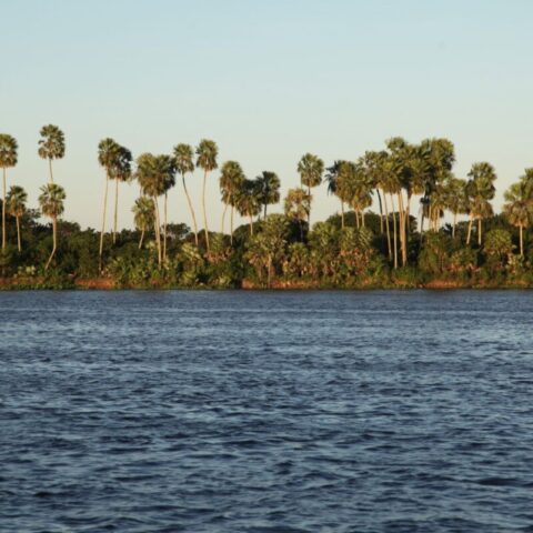 Podczas podróży łodzią po rzece Paragwaj.