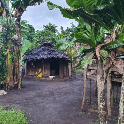 Dom ludzi z plemienia Small Nambas na Vanuatu.