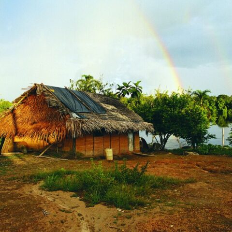 Indiańska chata nad rzeką Orinoko w Wenezueli.