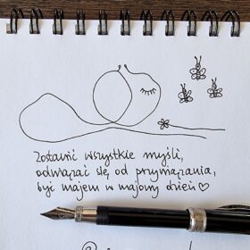 345455050_6099512153419431_2847480966883358204_n